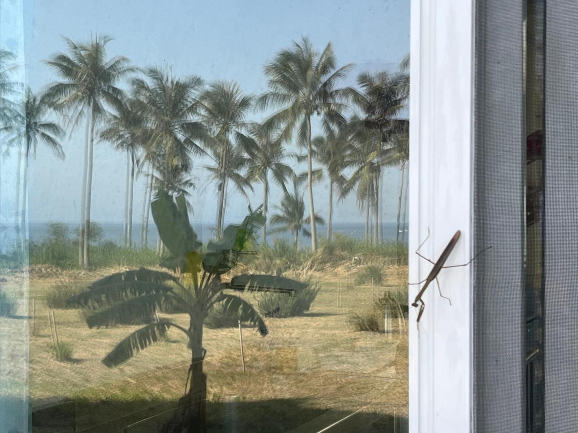 春夏秋冬海景民宿ocean View Motel Chenggong Εξωτερικό φωτογραφία